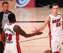 海星体育在线观看热火球星三分绝杀，全场观众热烈欢呼，部门系统所以地址.的简单介绍