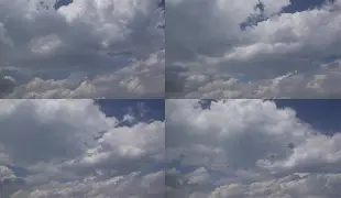 海星体育入口 孟菲斯灰熊新主教练 